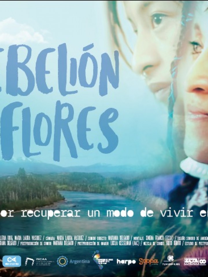 La rebelión de las flores: el documental que cuenta la lucha de las mujeres  indígenas contra el terricidio - Agencia Presentes